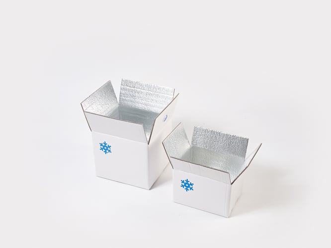 Sostenibilidad e Innovación con cada caja de embalaje isotérmico